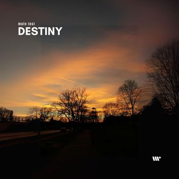 Mute (ES) - Destiny
