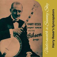 Harry Reser's Syncopators - Underneath a Sunny Sky