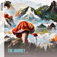 NORMAN - THE JOURNEY