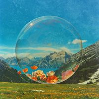 blue mountain - sparkling water