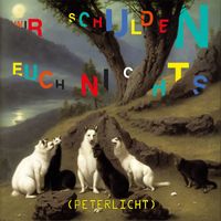PeterLicht - Wir schulden euch nichts