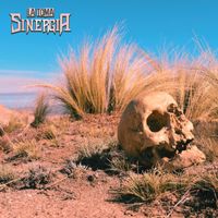 Sinergia - La Toma