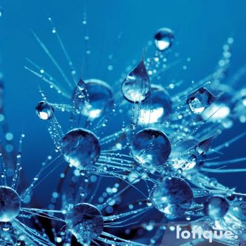 Lunar - Crystal Clear