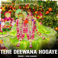 Mani Sharma - Tere Deewana Hogaye