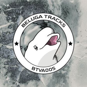 Various Artists - BTVA005