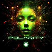 Rootsy - Polarity