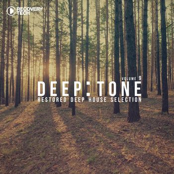 Various Artists - DeepT1, Vol. 9