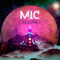 MIC - SEGURA