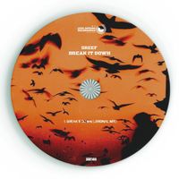 Sreef - Break It Down