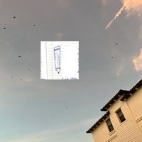i.e. - pet