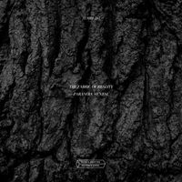 The Fabric Of Reality - Paranoia Mental