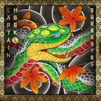 Captain Hook - Ouroboros - Present