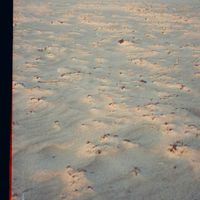 Gesh - Serious Leisure