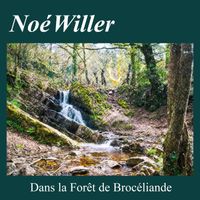 Noé Willer - Dans la forêt de Brocéliande