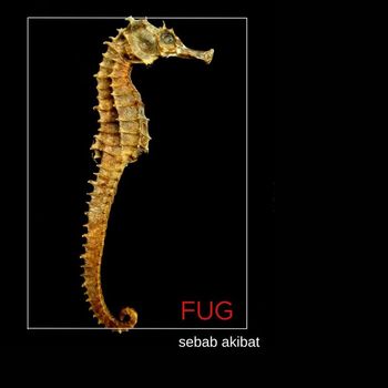 FUG - Sebab - Akibat