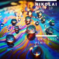 Nikolai - Ready to Flow (Eric Sneo Remix)