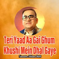 Naeem Abbas Rufi - Teri Yaad Aa Gai Ghum Khushi Mein Dhal Gaye