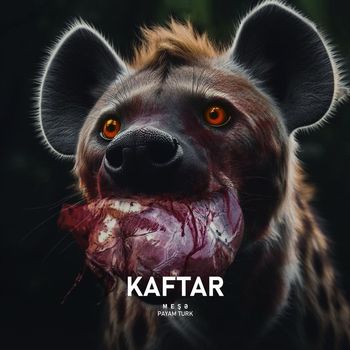 Payam Turk - KAFTAR