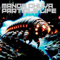 Manda Chuva - Particle Life