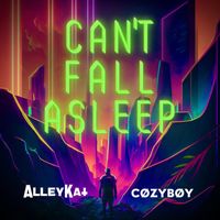 alleykat - Can't Fall Asleep