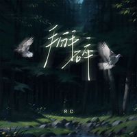 RC - 掰碎