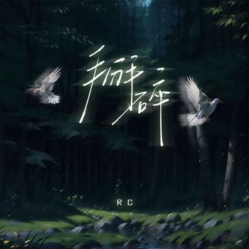 RC - 掰碎