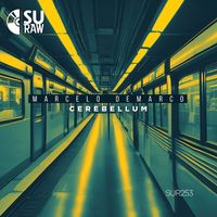 Marcelo Demarco - Cerebellum