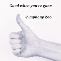 Symphony Zoo - Good when you're gone