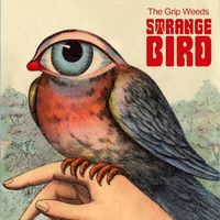 The Grip Weeds - Strange Bird