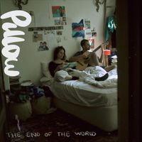Pillow - The End of the World