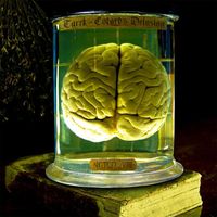 Tarek - Cotard's Delusion
