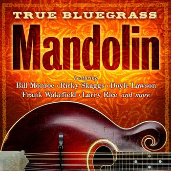 Various Artists - True Bluegrass Mandolin
