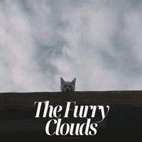 Pet Music - The Furry Clouds