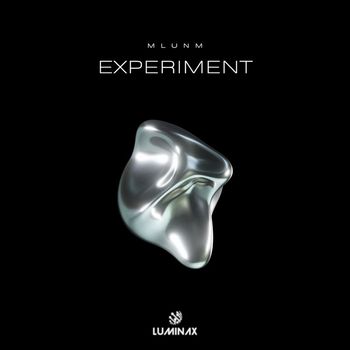 MLUNM - Experiment