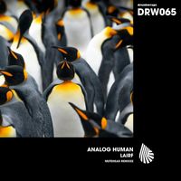 Analog Human - Lairf (Mutehead Remixes)