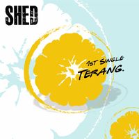 SHED - Terang