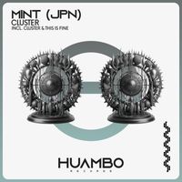 MINT (JPN) - Cluster (Extended Mix)