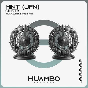 MINT (JPN) - Cluster (Extended Mix)