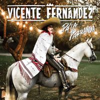 Vicente Fernández - Pa´ la Parranda