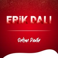 Orhan Demir - Erik Dalı