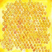 Peer Pressure - Bees