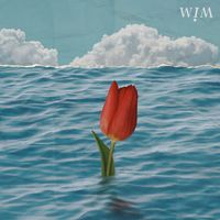 WIM - Weirdo