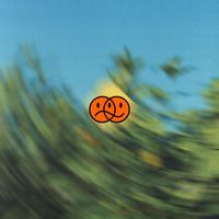 Boston Bun - MIXED FEELINGS