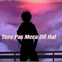 Krish - Tere Pas Mera Dil Hai