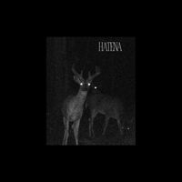 Kuriyo - HATENA (feat. Isa) (Explicit)