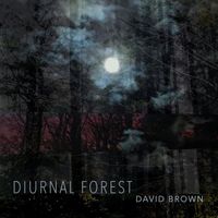 David Brown - Diurnal Forest