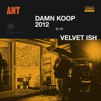 Ant - Damn Koop 2012 / Velvet Ish