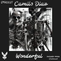 Camilo Diaz - Wonderful