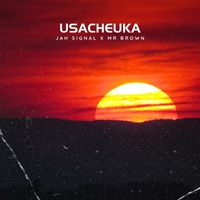 Jah Signal - Usacheuka (feat. Mr Brown)