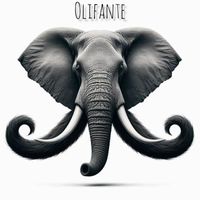 SNOR - Olifante
